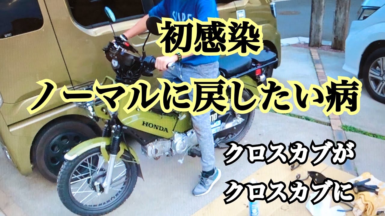 今話題のノーマル戻したい #ウイルス に #感染 しちゃったけどこんな 