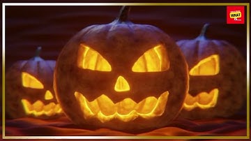 What is the Purpose of Optogenetics in Controlling Neural Activity