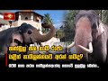 කණ්ඩුල|sin