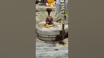 Mahashivratri 2025 status 🌿 | mahashivratri shorts | #mahashivratri #shivratri #status #shorts #yt