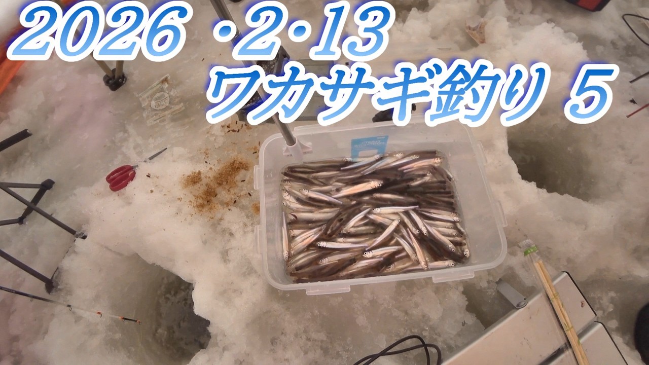 2026ワカサギ釣り5