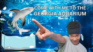 Georgia Aquarium | Fun Things to do in downtown Atlanta