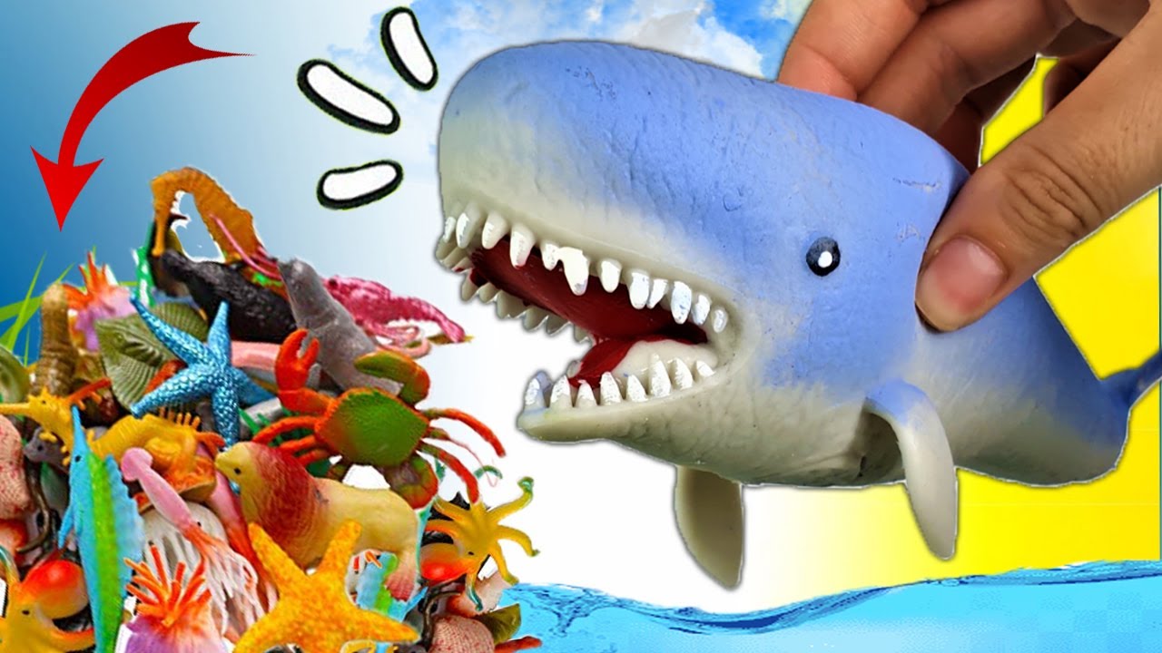 CACHALOTE, BALLENA AZUL, TIBURON BALLENA | GIGANTES DEL OCEANO | ¡LAS PROFUNDIDADES!