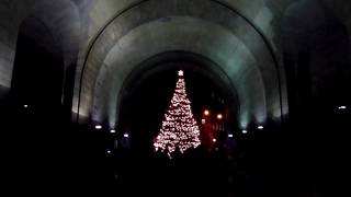 Dumbo Christmas Tree Lighting - December 6, 2011