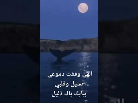 انشودة الهي وقفت دموعي تسيل بصوت جميل