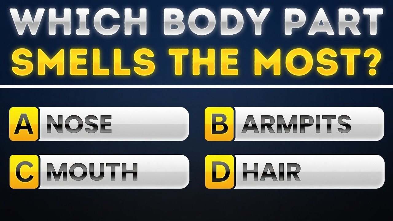 Human Anatomy Knowledge Assessment