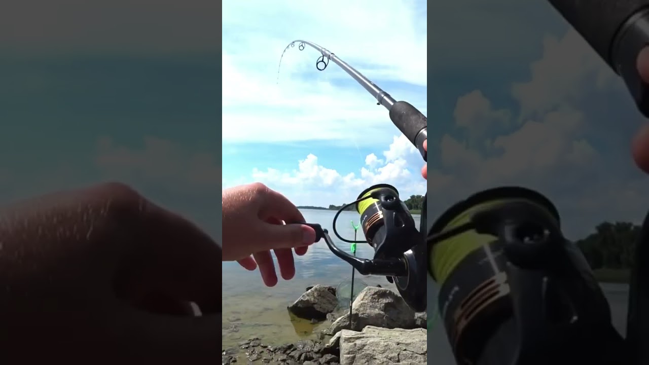 Лучшие наживки на Карася!