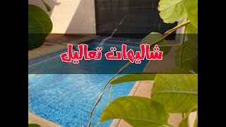 شاليهات تعاليل // الرياض // جمعتنا وين ؟