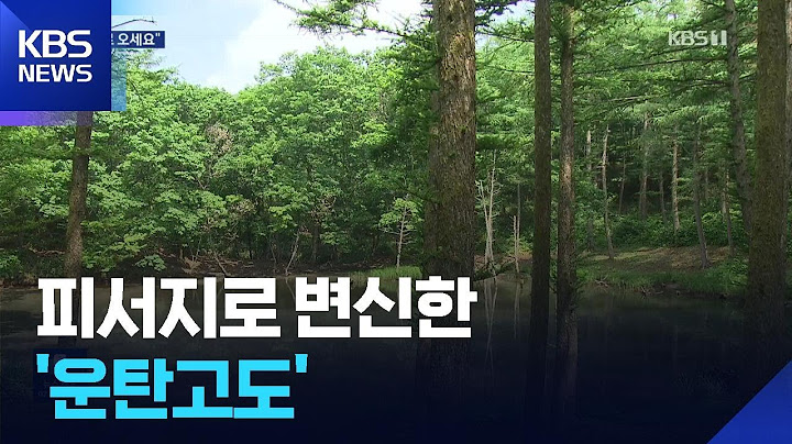 무더위 식히는 ‘운탄고도’…폐광지에서 관광 명소로! / KBS  2025.07.10.