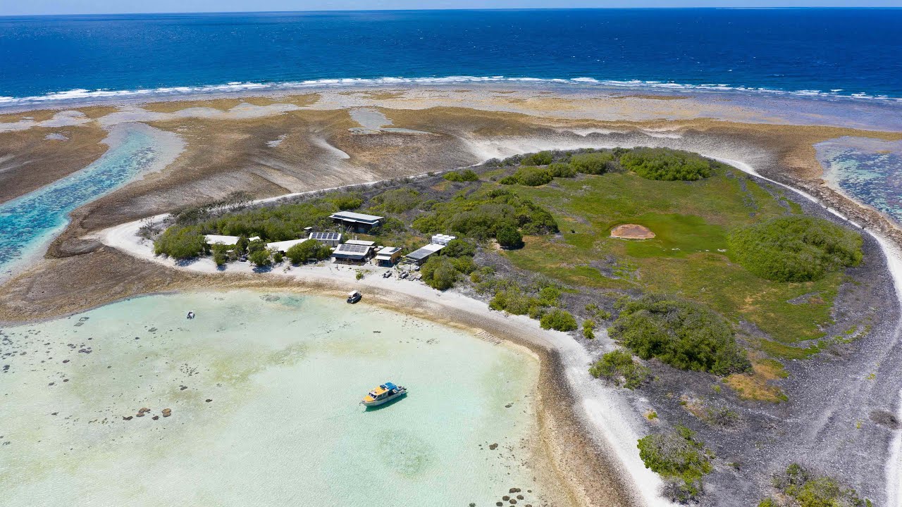 One Tree Island science lesson with Associate Professor Jody ster YouTube