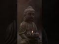 Buddha Quote  #viralvideo #shortvideo #youtubeshorts #ytshorts #reels #motivation