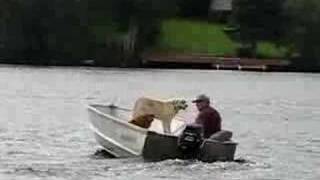 Classic Canadian Aviation