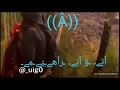 حب البدوي
