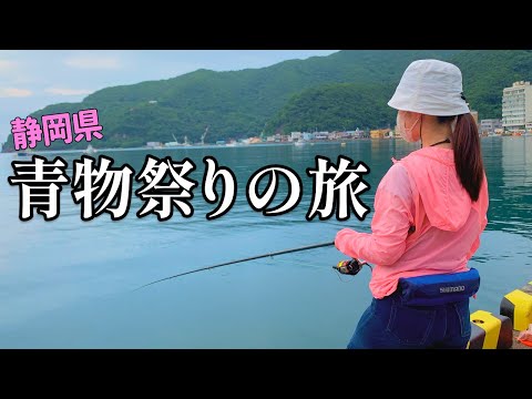 堤防から青物が連発!!ルアーにカゴ釣りに!!まさかの超美味のお魚も登場した静岡の釣り【2024.7】