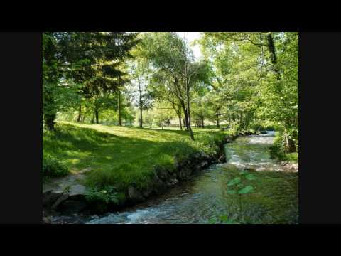 Rverie dans le parc du Moulin Pinard  Limoges avec Jim Chappell.wmv