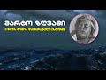 ოკეანეში მარტო დარჩენილი 11 წლის გოგოს ისტორია
