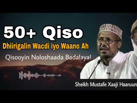 P3 50 Qisooyin Noloshaada Badalaya Sheikh Mustafe Xaaji Haaruun Wacdi 