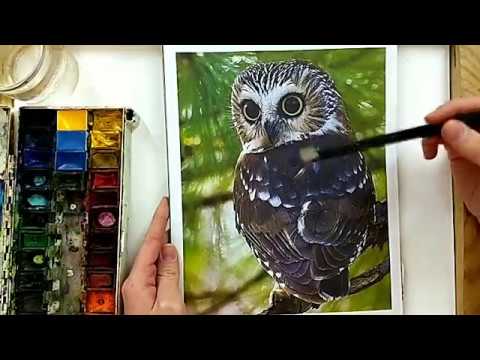 КАК НАРИСОВАТЬ СОВУ?🦉
