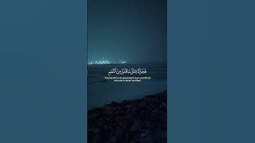 Surah Al-Maidah 095  سورة المائدة #quraniv #quran