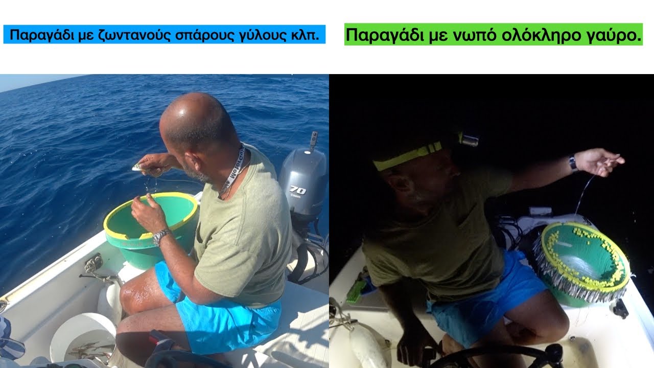 Πώς να πιάσουμε το καλύτερο δόλωμα για παραγάδια.