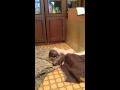MOV 0004