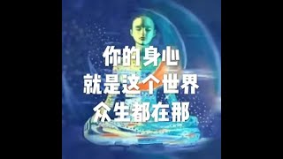 201803 你的身心就是这个世界　众生都在那23747