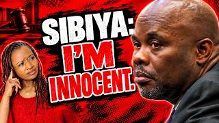 Sibiya’s Shock Bail Defence as He Pleads Innocence screenshot 3