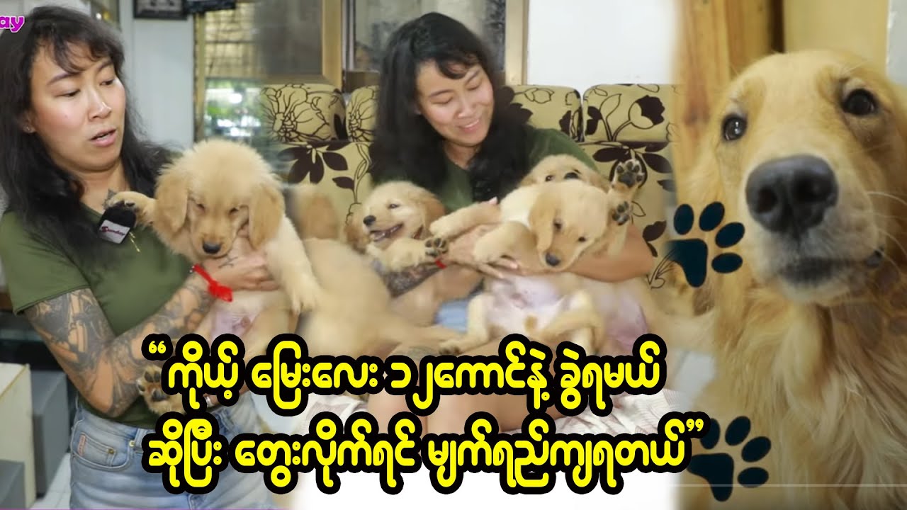 ဒုက္ခခံကိုယ်တိုင်မွေး၊တစ်ညလုံးမအိပ်ဘဲနို့ဘူးတိုက်ပြုစုခဲ့ရလို့သားသမီးလိုသံယောဇဉ်ပေါ့