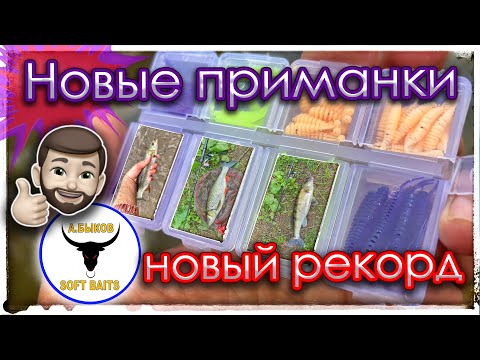 Видео: Новые приманки. Новый рекорд. Мормышинг.