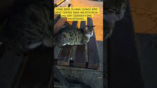 Sevdi̇kleri̇ni̇zi̇ Üzmeyi̇n Buğün Variz Yarin Yokuz..