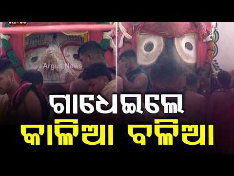 ଗାଧେଇଲେ କାଳିଆ ବଳିଆ | Snana Yatra 2026 | ସ୍ନାନଯାତ୍ରା ୨୦୨୬ | Puri Jagannath Snana Yatra | Argus News
