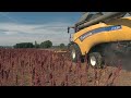 Agriculture  pourquoi la production de quinoa suscite de lespoir en ctedor