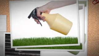 Pest Control Hemet, CA (951) 392-3354