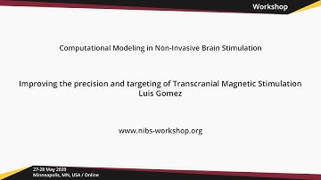 Improving the precision and targeting of Transcranial Magnetic Stimulation // NIBS workshop 2020