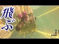 馬をゲルド砂漠へ連れて行きたかった（挑戦）【ゼルダの伝説ブレスオブザワイルド】検証　実況