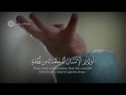 أولم يرى الإنسان أنا خلقناه من نطفة القارئ الشيخ منصور السالمي