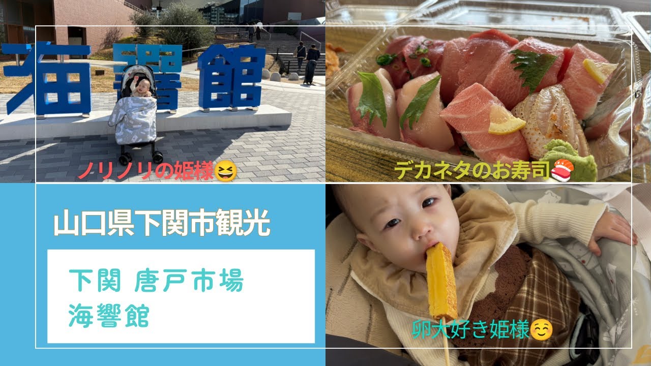 山口県下関市観光／唐戸市場•海響館