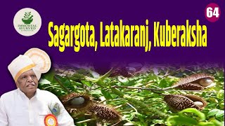 Sagargota, Latakaranj, Kuberaksha