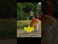 Watch BEFORE Buying Ryze Mushroom Coffee! Stomach Wrecker #mushroomcoffee #shorts