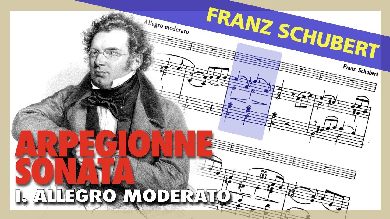 🎼 F. SCHUBERT -Arpeggione Sonata (D.821) I. Allegro Moderato