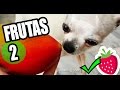 QUE FRUTAS PUEDEN COMER LOS PERROS | Frutas para perros 2/2 ★ PetDarling