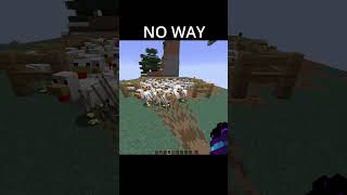 Chickens make you FLY  #minecraft