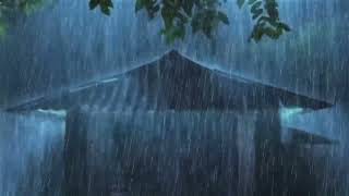 🥱 😴🥱Soothing Heavy rooftop rain drops Sounds for complete relaxation and sleep 🥱 🥱 by ContentRains 1,708 views 1 year ago 3 hours, 10 minutes