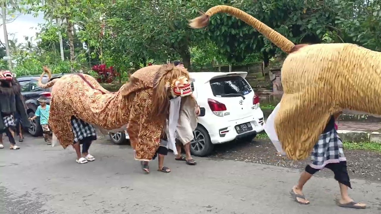 Parade Barong macan di Desa Wisata Penglipuran