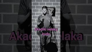USA and Telugu people