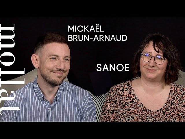 Interview de Mickaël Brun-Arnaud, pour son roman jeunesse Mémoires de la  forêt