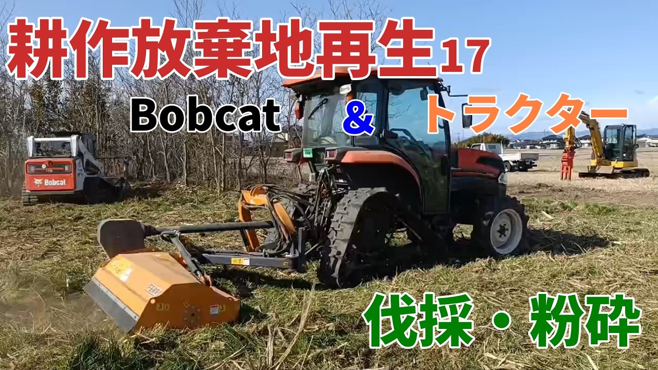 【耕作放棄地再生17】bobcatで伐採粉砕してきました。トラクターでより細かく粉砕！