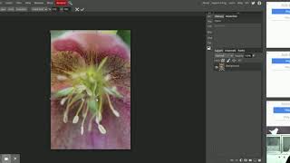 Photopea | Online Photo Editor screenshot 5