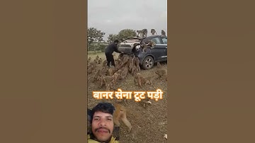 #funny #song #music #love #youtube #trending #viral #shortfeed #memes #youtuber