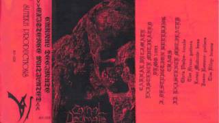 Carnal Decimate - Existence Mutilated